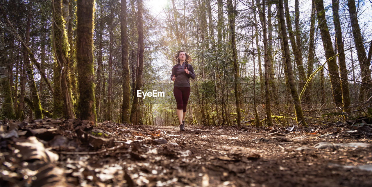 Woman standing by tree trunks in forest