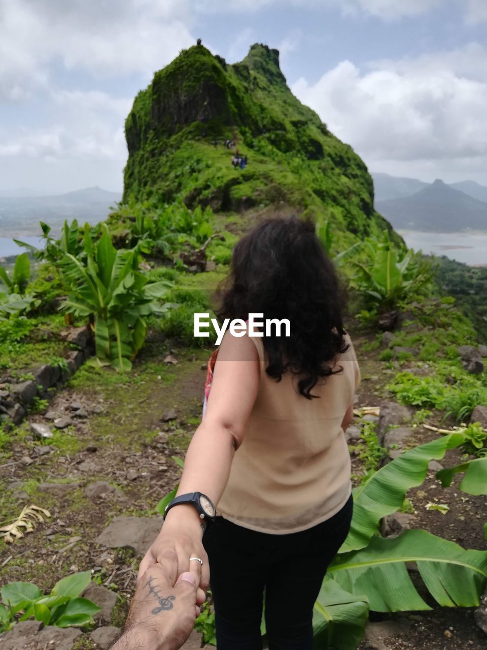 Rear view of young woman holding hand of man on mountain