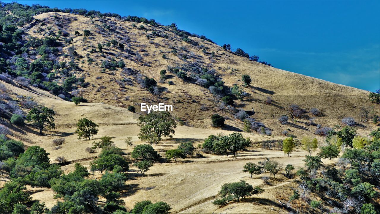 High angle view of trees on landscape against sky