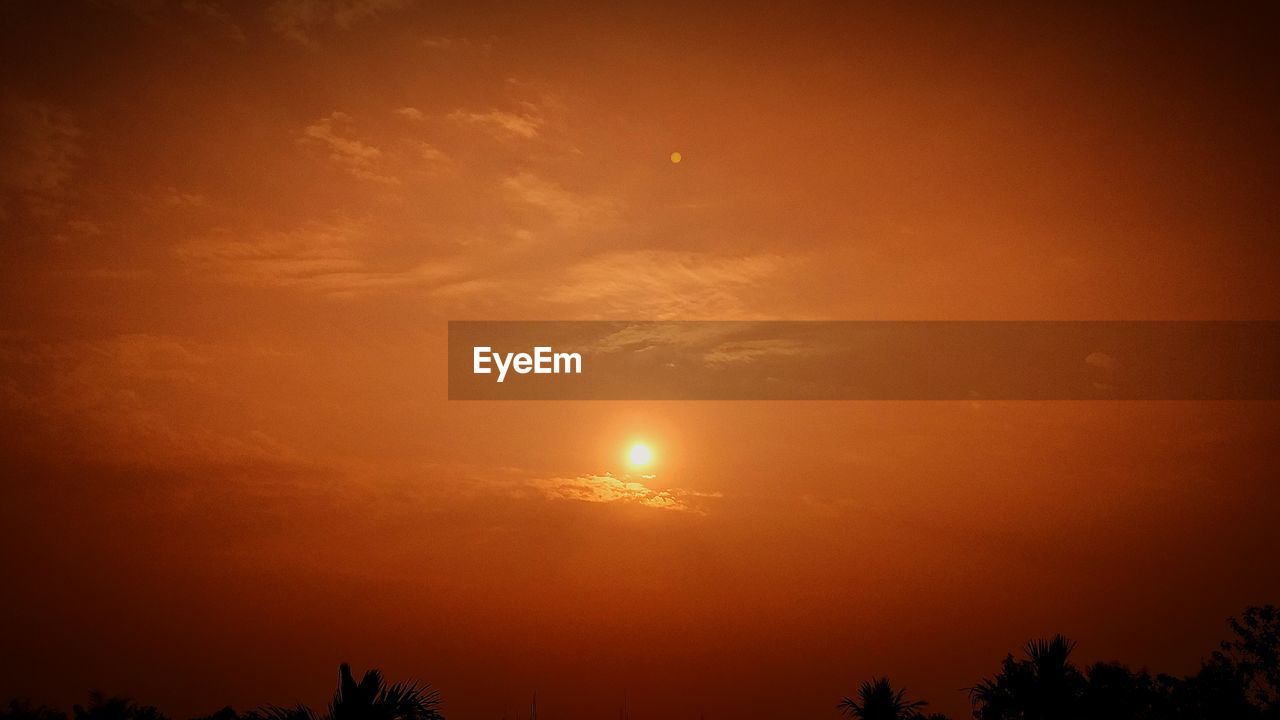 LOW ANGLE VIEW OF SILHOUETTE TREE AGAINST ORANGE SKY