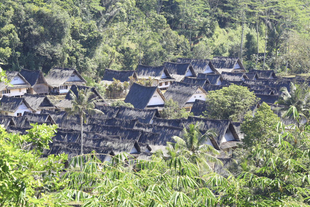 High angle view of houses amid trees