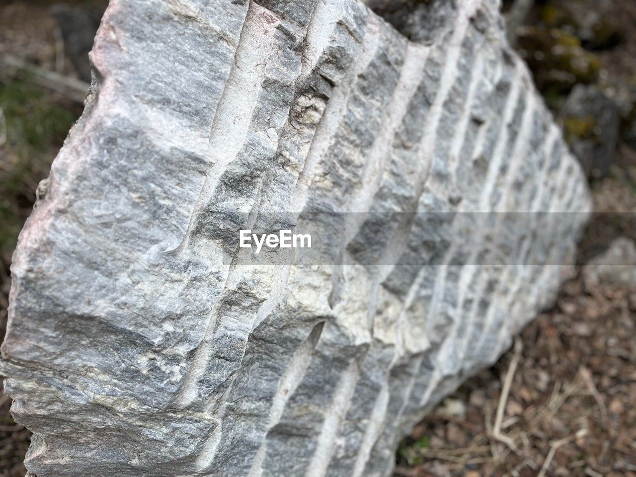 rock, close-up, nature, wood, no people, textured, day, trunk, geology, leaf, outdoors, focus on foreground, tree, rough, plant, pattern, land, tree trunk