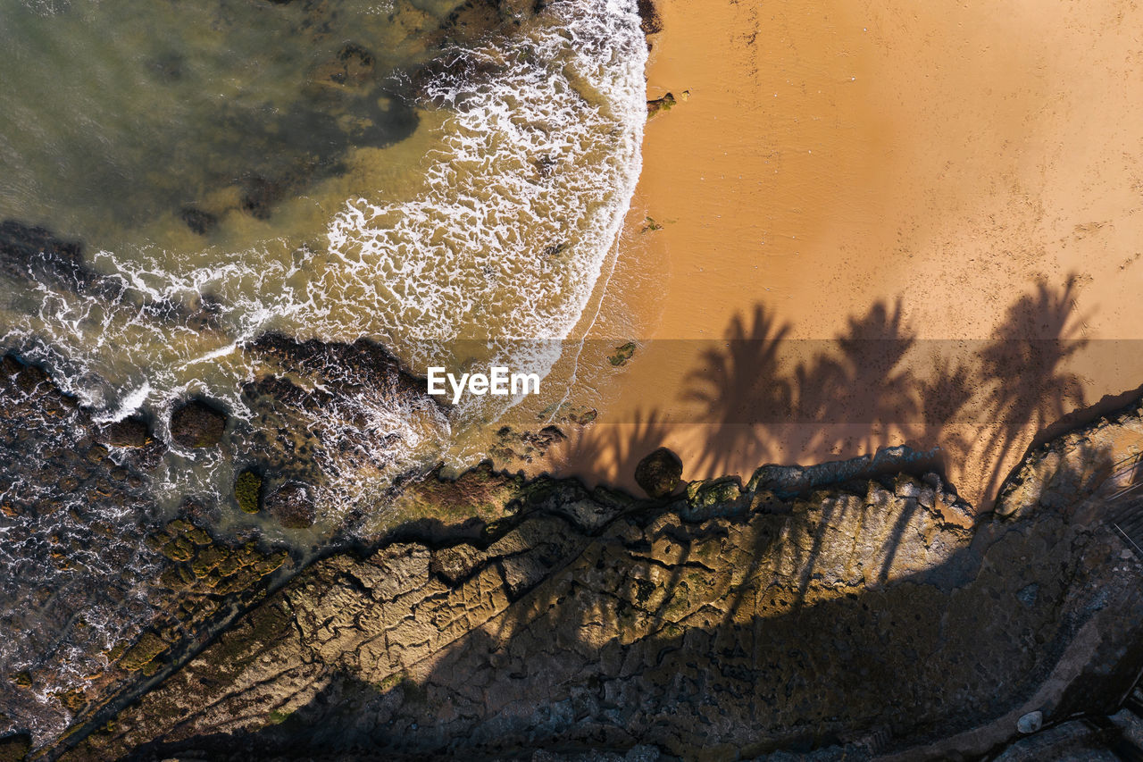Close-up of palmtrees shadows by sea
