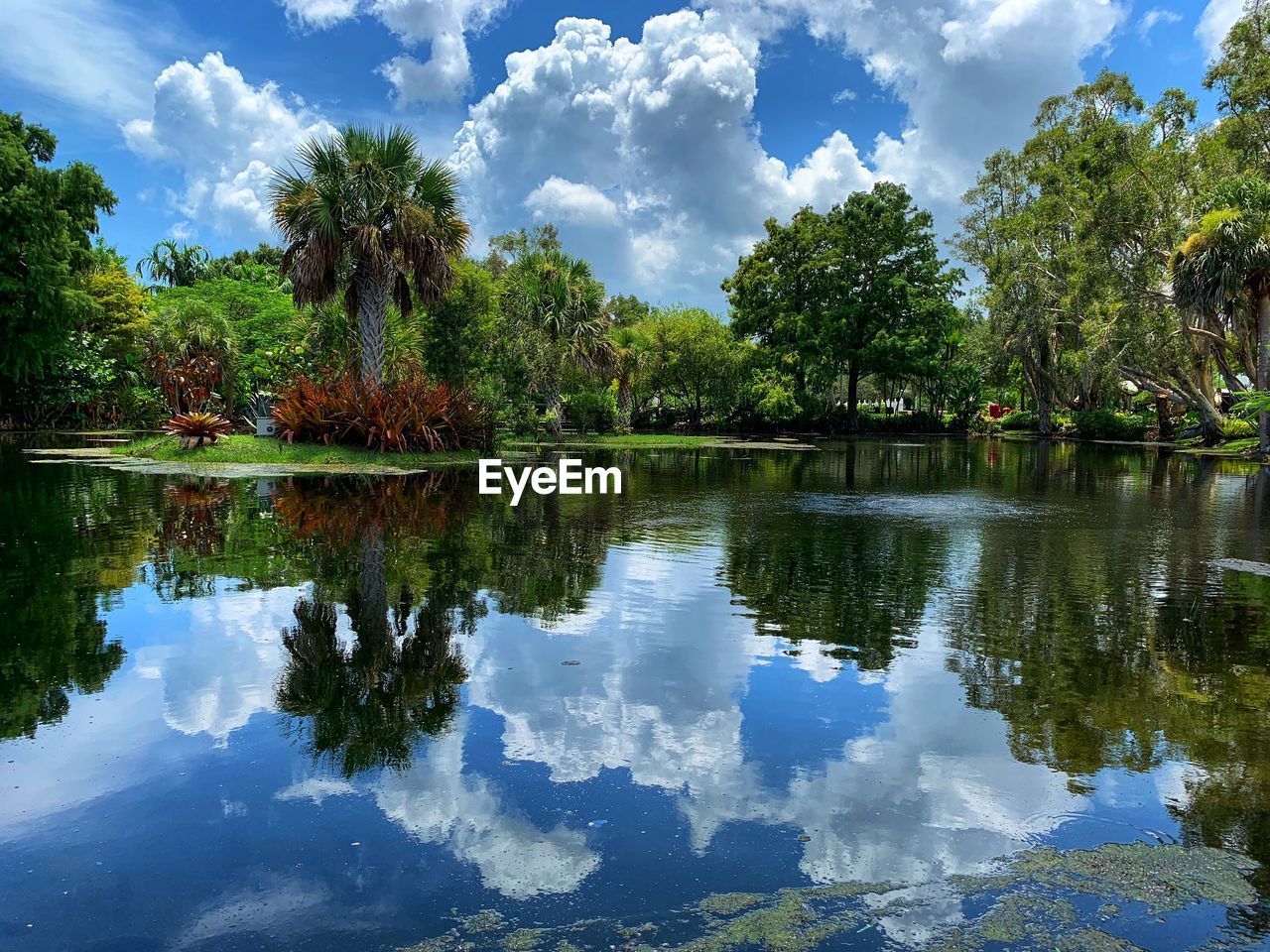 SCENIC VIEW OF LAKE AND TREES AGAINST SKY