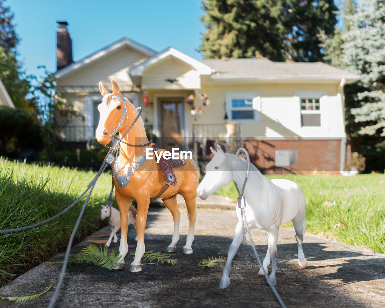 HORSES AGAINST BUILT STRUCTURE