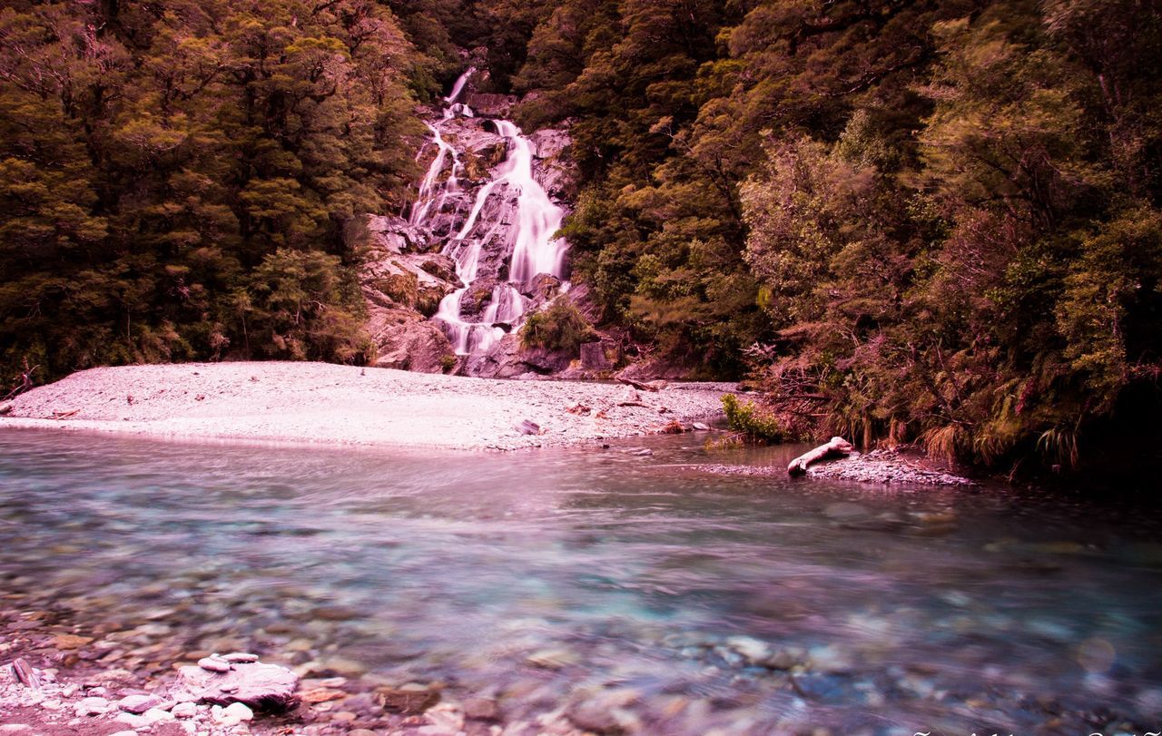 SCENIC VIEW OF TREES BY WATERFALL