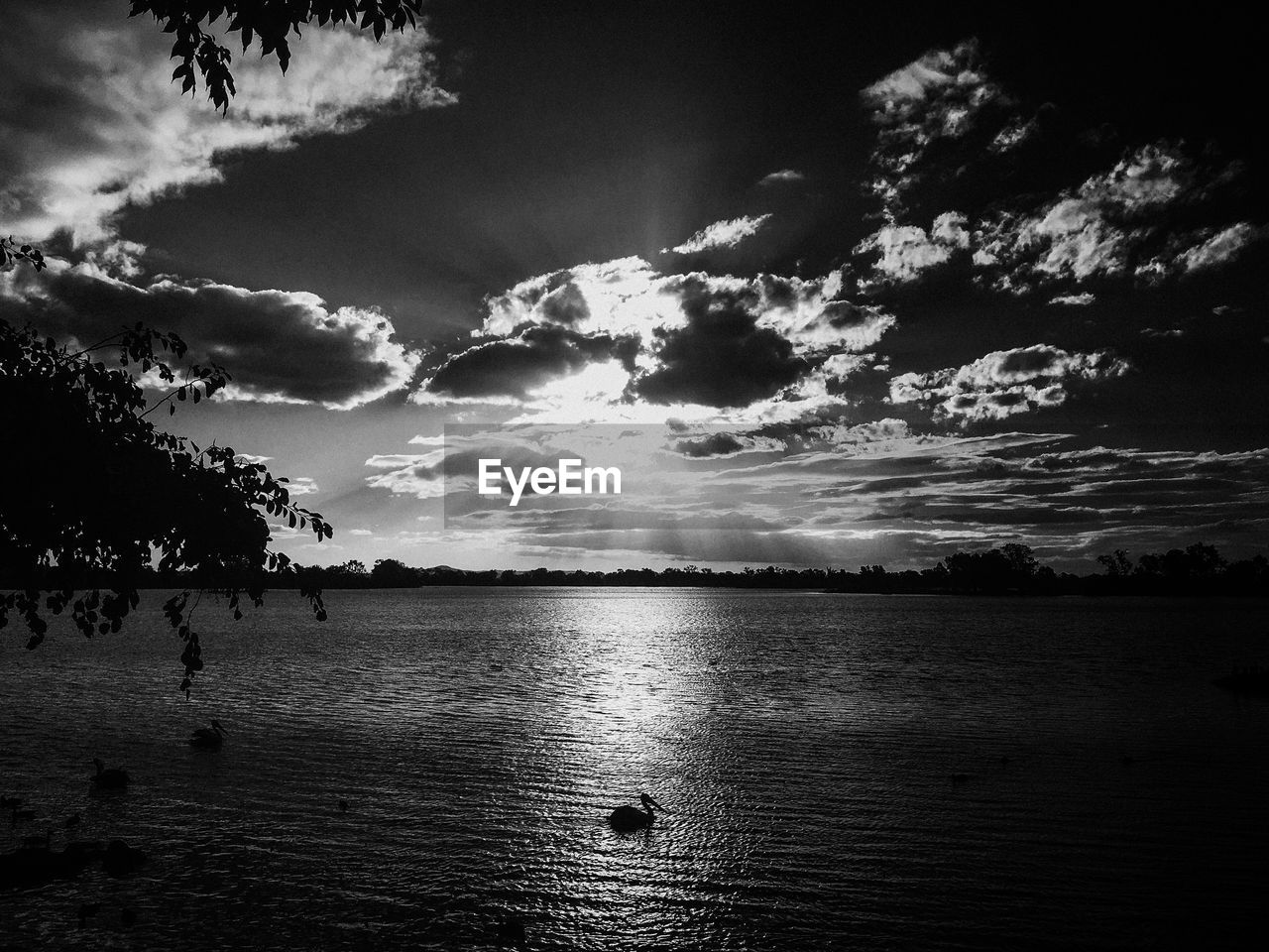 REFLECTION OF TREES IN LAKE AGAINST SKY