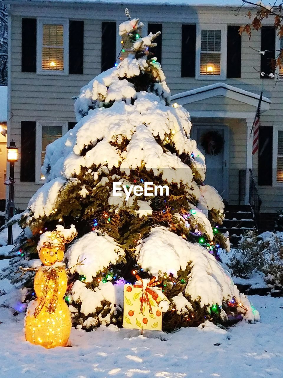 ILLUMINATED CHRISTMAS TREE IN SNOW DURING WINTER