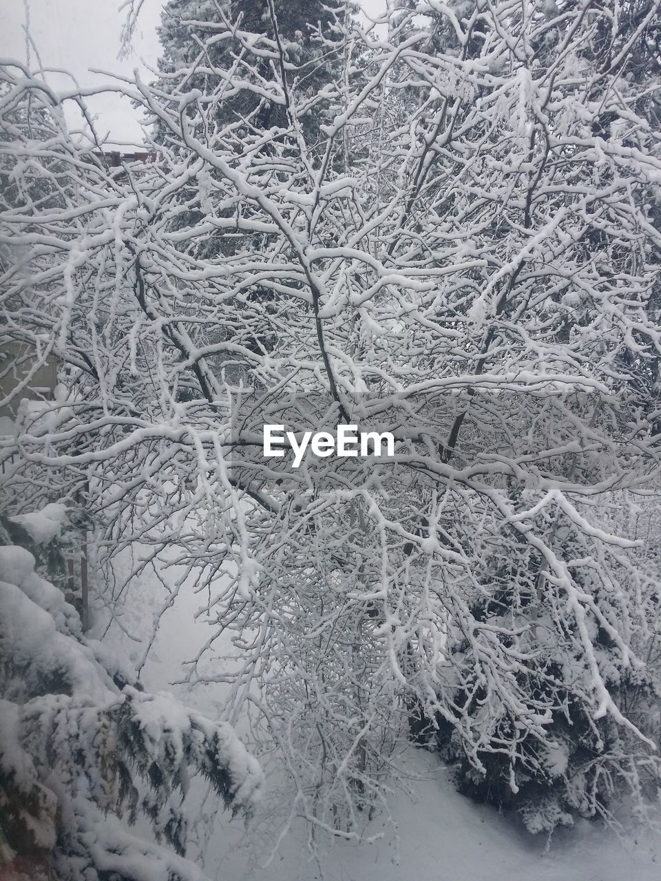 VIEW OF SNOW COVERED LANDSCAPE