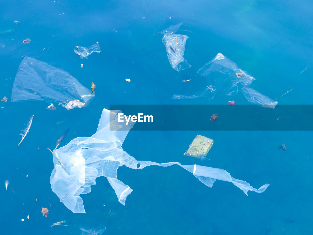 White plastic bag floating in the blue sea