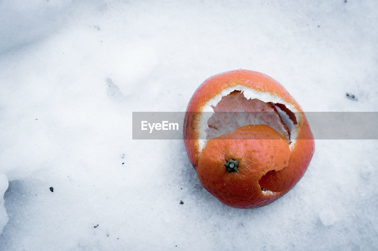 Close-up of orange peel on snow