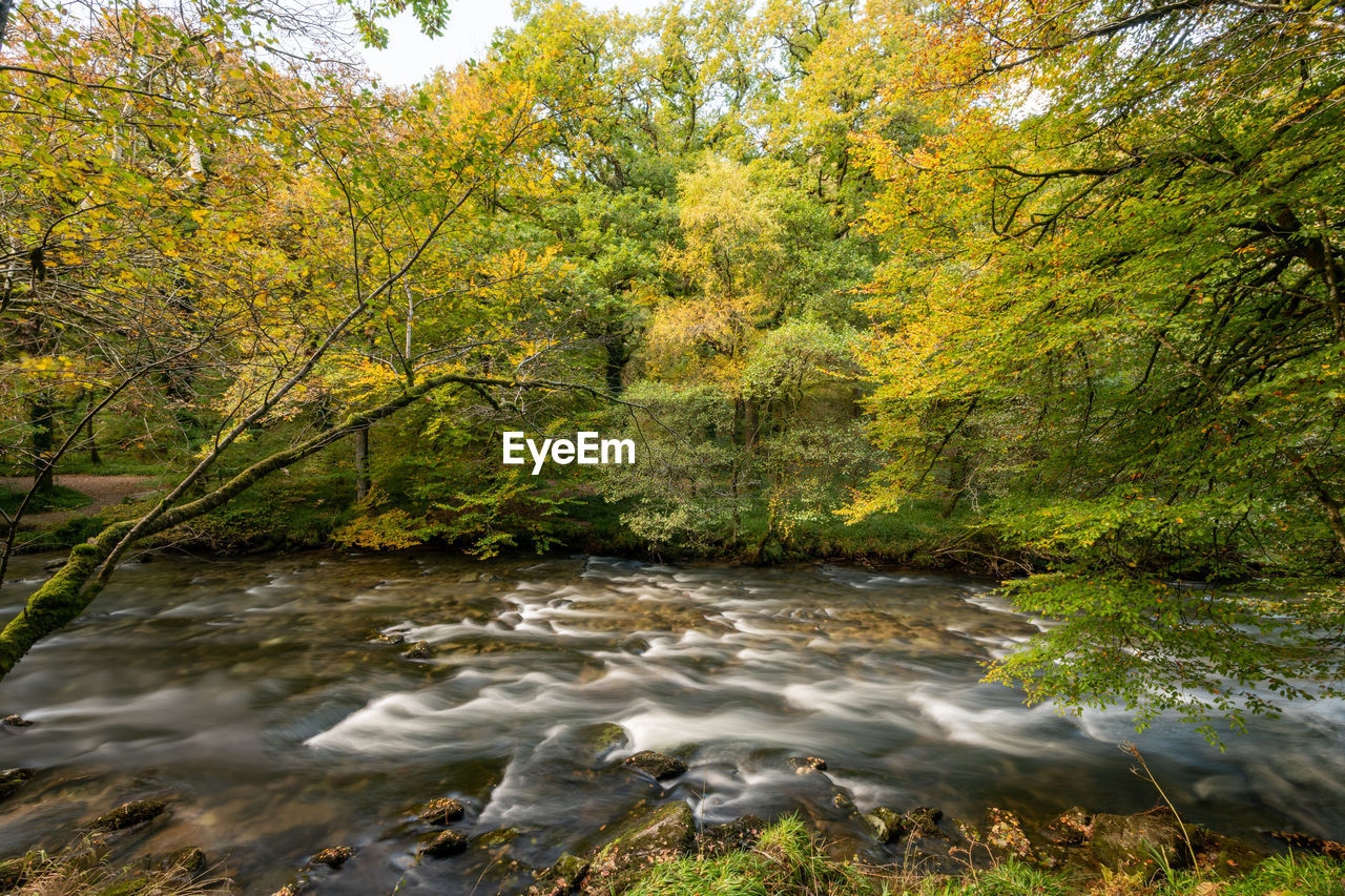 Long exposure of the river barle flowing through the barle valley at tarr steps in exmoor 