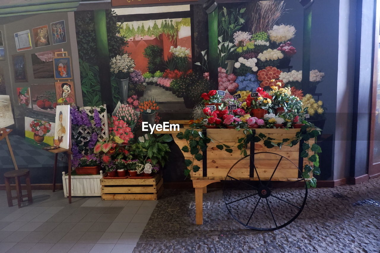 POTTED PLANTS ON WINDOW SILL IN STORE