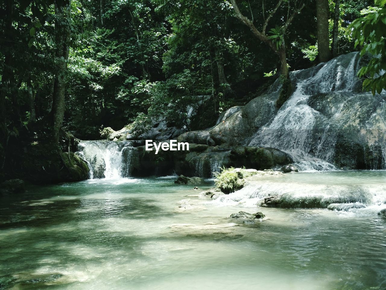 View of waterfall in forest