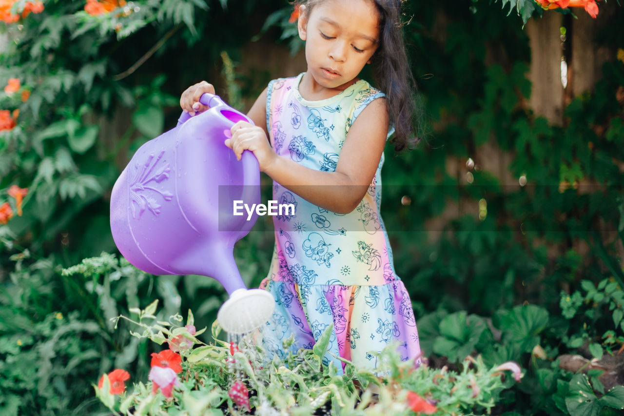 Diverse mixed race pre school girl outdoors during summer watering plants in garden