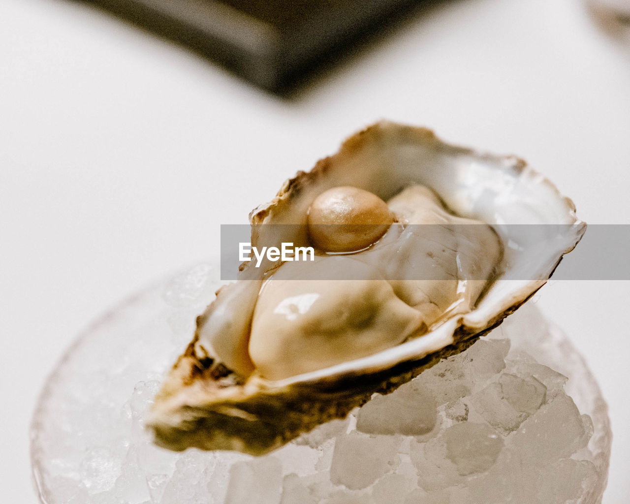 Close-up of oyster on table