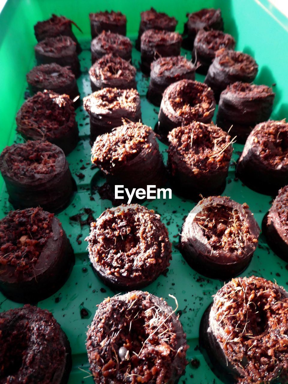 HIGH ANGLE VIEW OF COOKIES IN CONTAINER