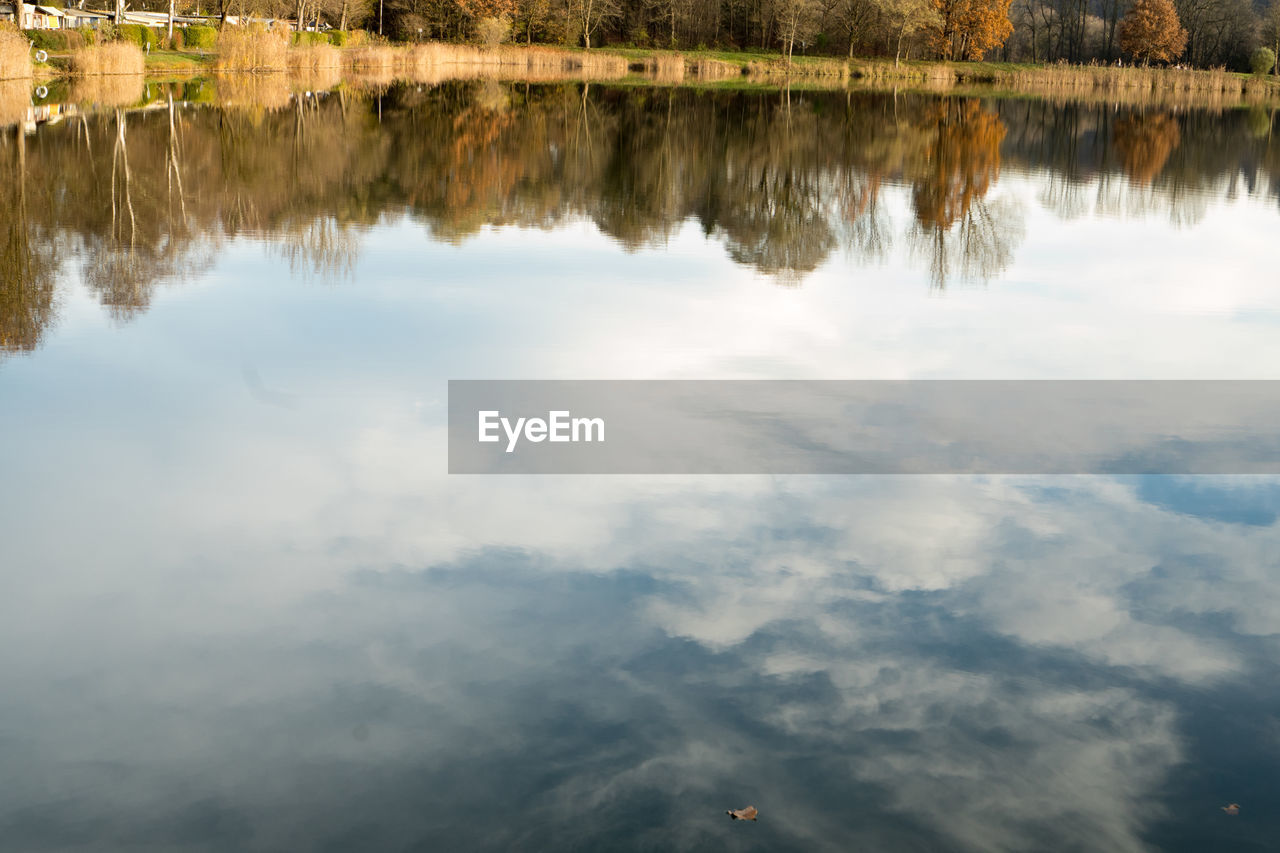 REFLECTION OF TREES AND SKY ON LAKE