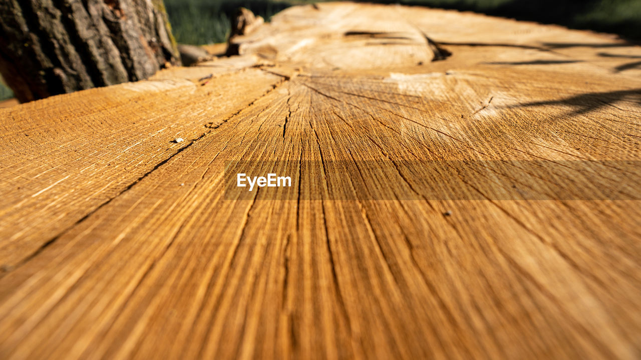 Close-up of wooden planks