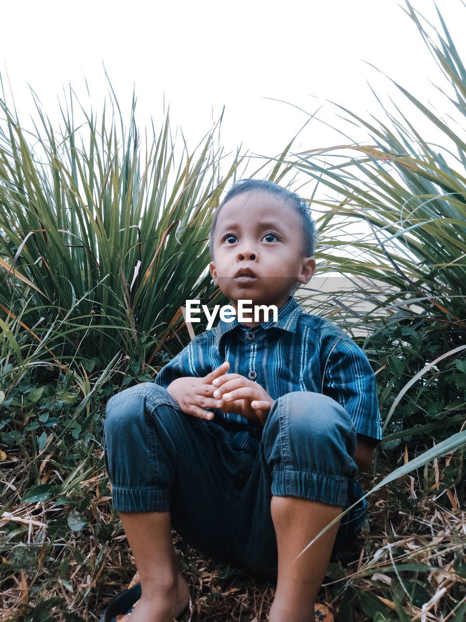 FULL LENGTH PORTRAIT OF BOY IN FIELD