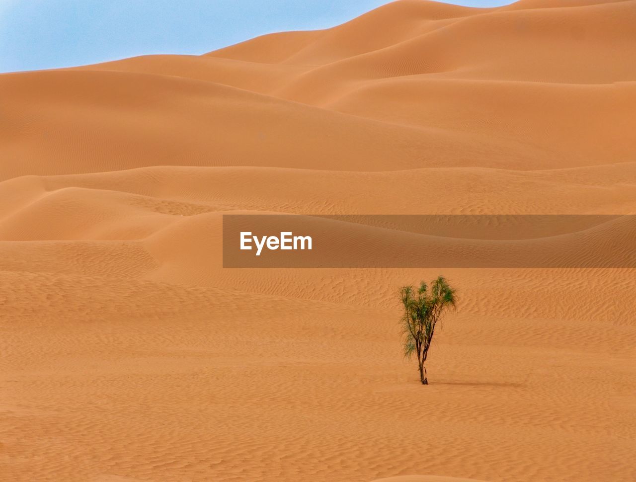 North africa desert 