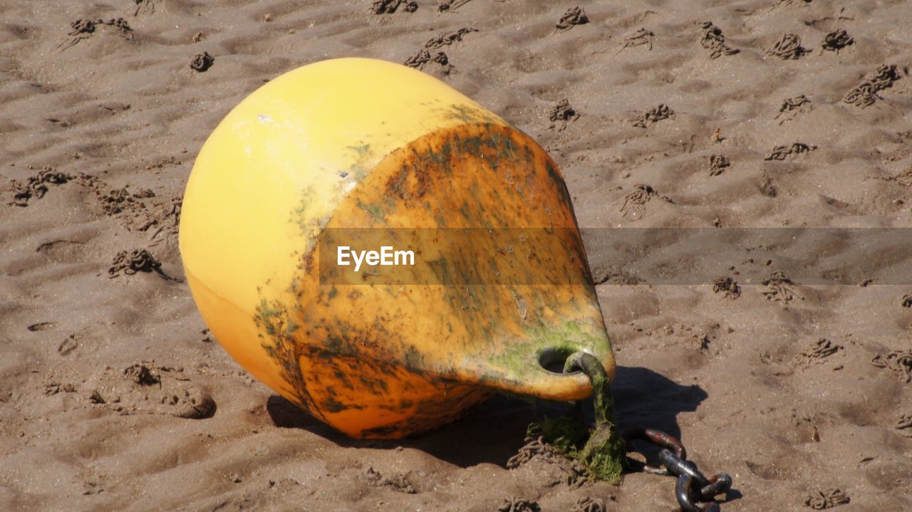 Close-up of buoy at beach