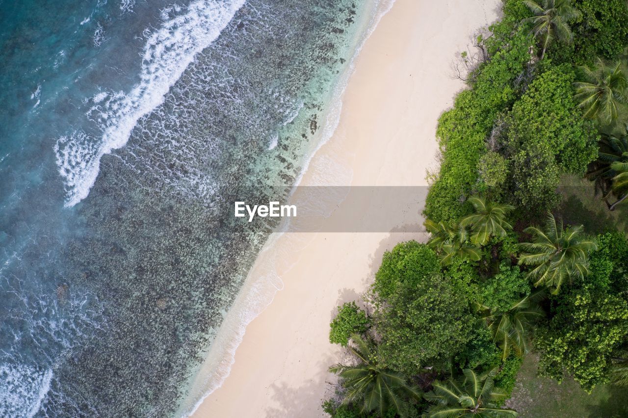 Drone field of view of waves, sand, sea and forest praslin seychelles.