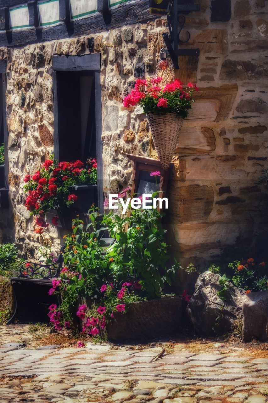 POTTED PLANTS AGAINST BUILDING