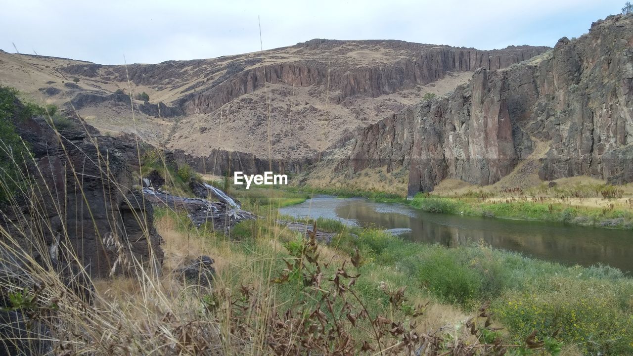 SCENIC VIEW OF STREAM