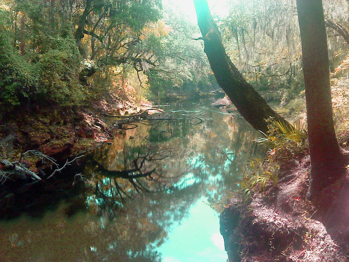 SCENIC VIEW OF LAKE