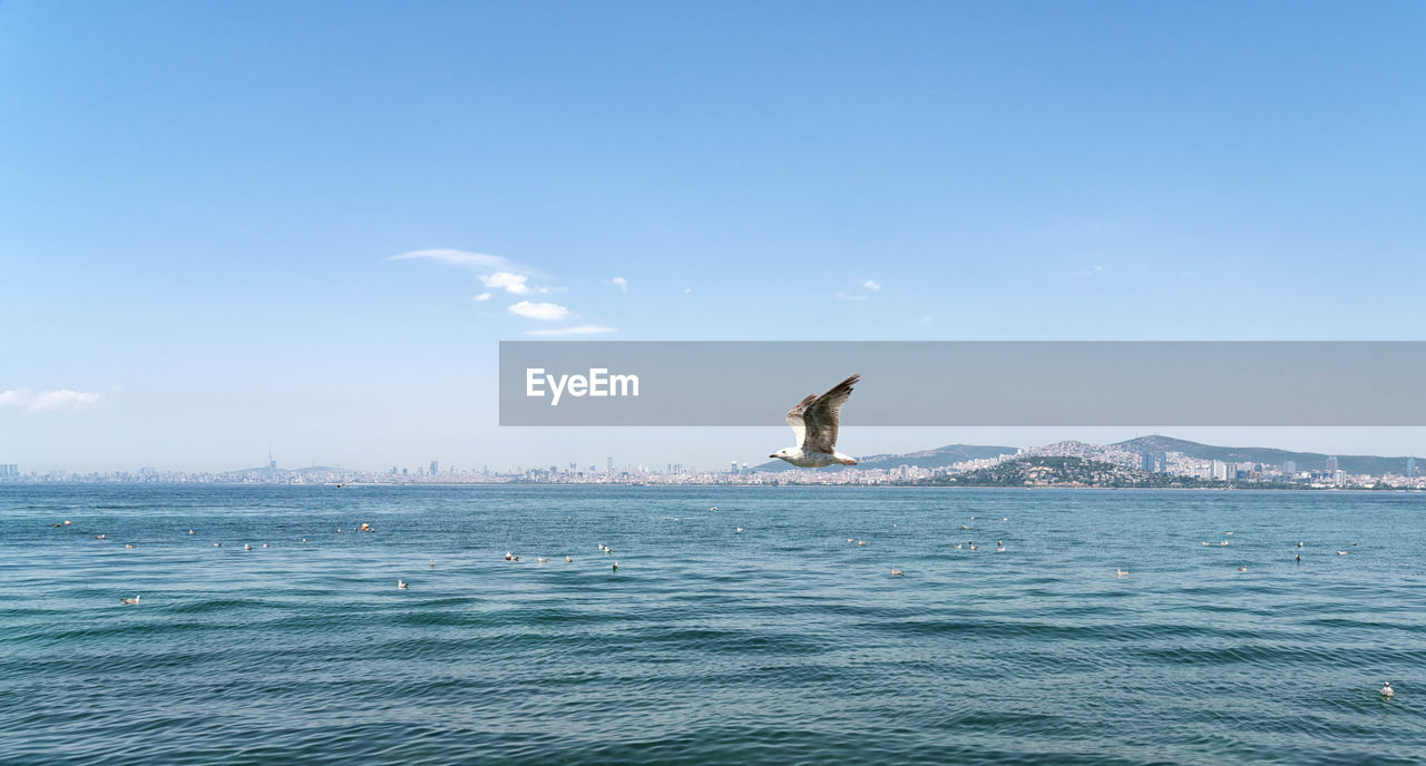 Scenic view of sea against blue sky