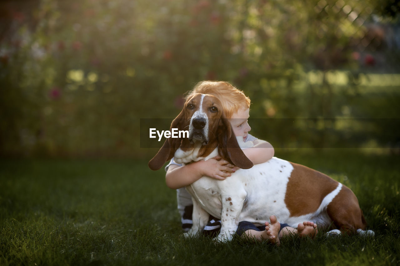 Toddler boy sitting and hugging his hound dog in the backyard grass