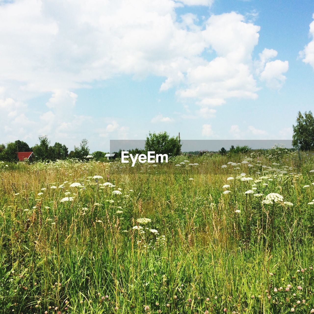 Scenic view of field against cloudy sky