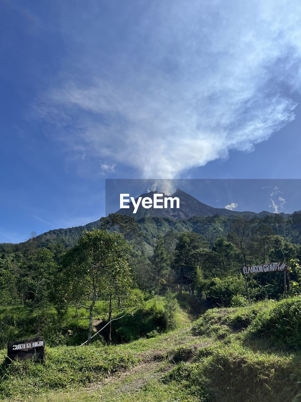 nature, beauty in nature, scenics - nature, cloud, plant, tree, sky, mountain range, mountain, environment, land, water, day, no people, landscape, outdoors, forest, tranquility, non-urban scene, blue, travel, tranquil scene, green, travel destinations, sunlight, idyllic, tourism