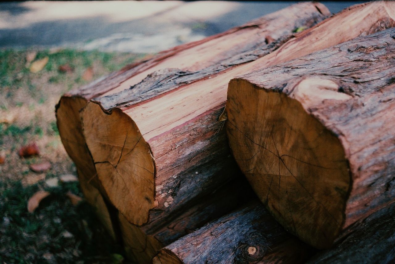 High angle view of logs on field