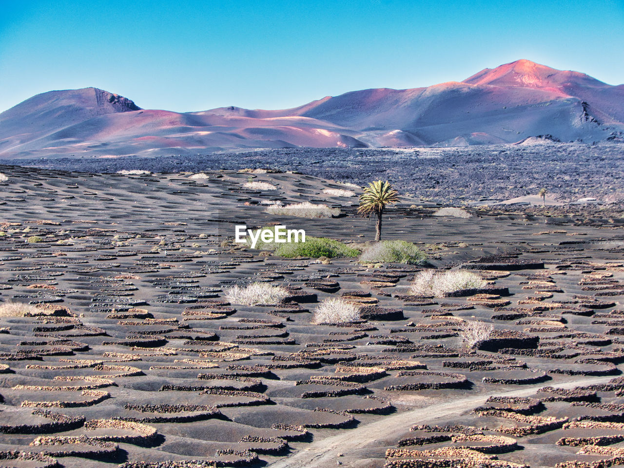 Scenic view of desert against sky