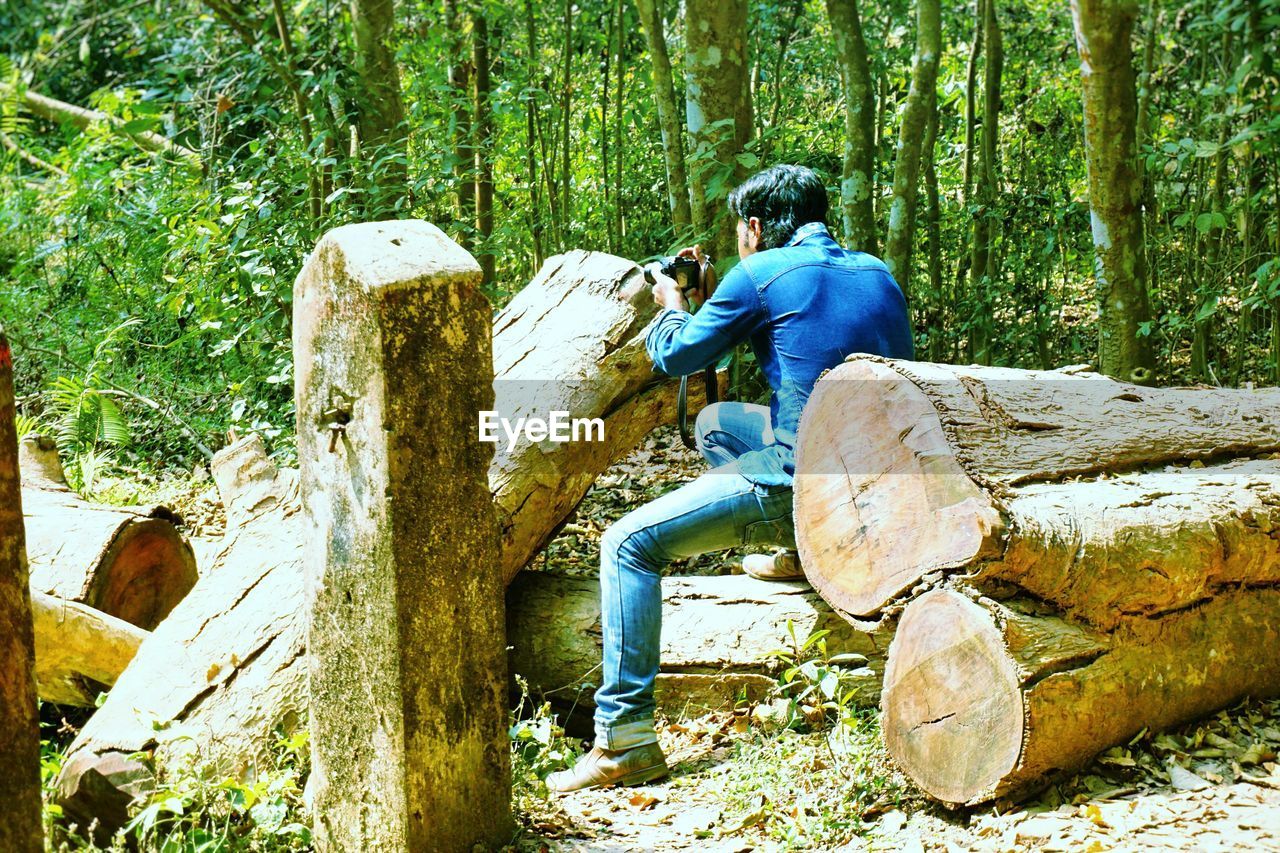 Rear view of man photographing amidst logs at forest