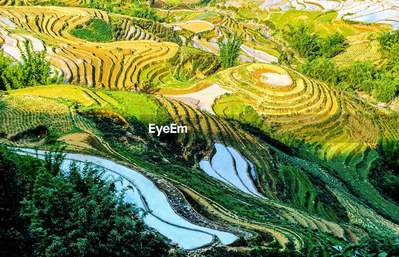 High angle view of cultivated land in asia