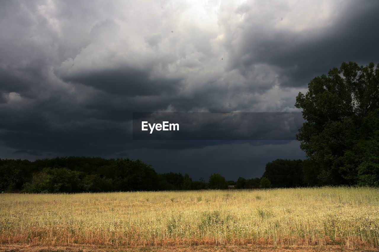 SCENIC VIEW OF FIELD AGAINST STORM CLOUDS