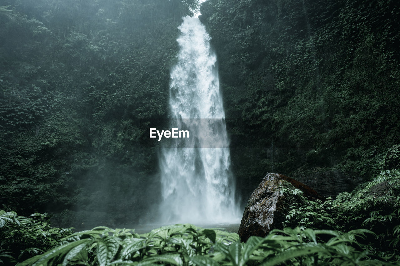 WATERFALL IN FOREST