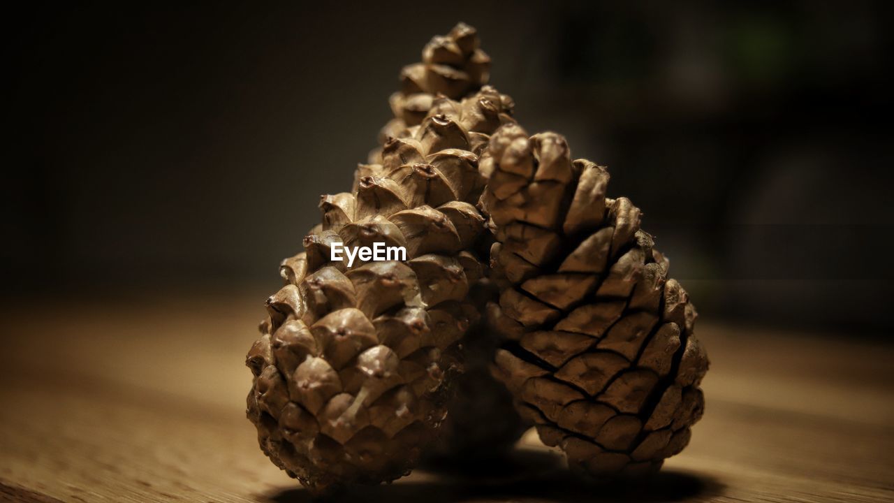 CLOSE-UP OF PINE CONE ON TABLE IN KITCHEN
