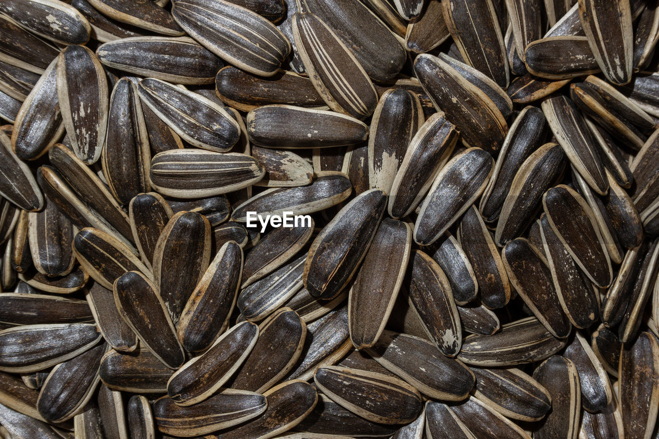 sunflower seed, food, full frame, vegetarian food, backgrounds, large group of objects, produce, food and drink, abundance, no people, still life, close-up, indoors, nuts & seeds, pattern, brown, freshness, high angle view