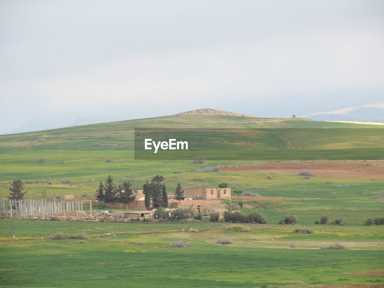 SCENIC VIEW OF AGRICULTURAL LANDSCAPE AGAINST SKY