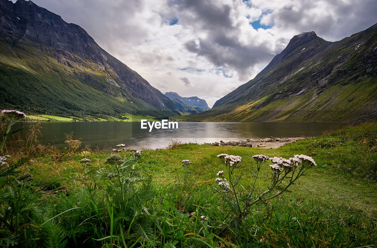 Geiranger, dalsnibba, sunnmøre, stryn, stranda, møre og romsdal, norway.