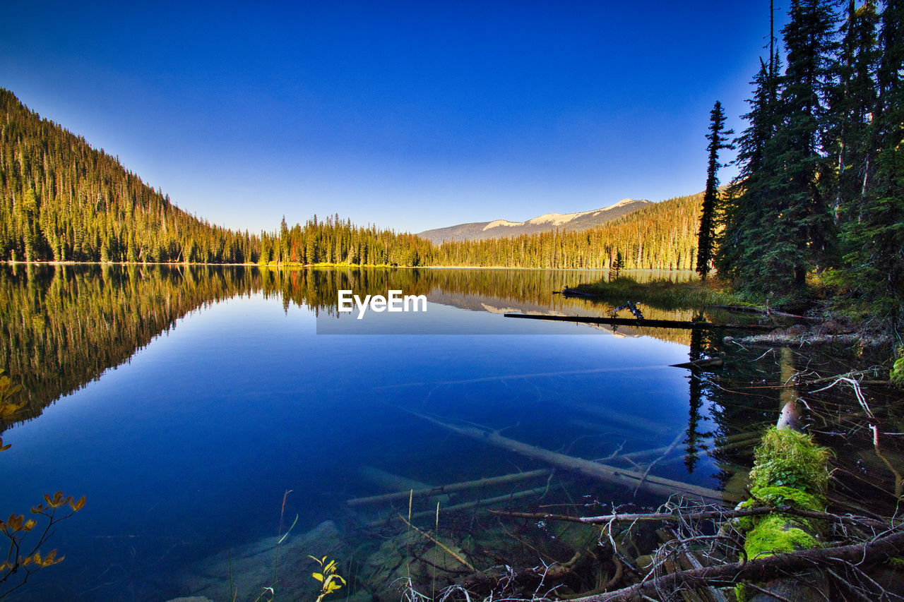 reflection, water, nature, wilderness, scenics - nature, lake, tree, beauty in nature, sky, plant, forest, autumn, tranquility, environment, landscape, land, body of water, tranquil scene, mountain, blue, no people, travel destinations, coniferous tree, pine tree, non-urban scene, pinaceae, reservoir, woodland, travel, clear sky, pine woodland, morning, outdoors, leaf, idyllic, day, tourism, mountain range, activity