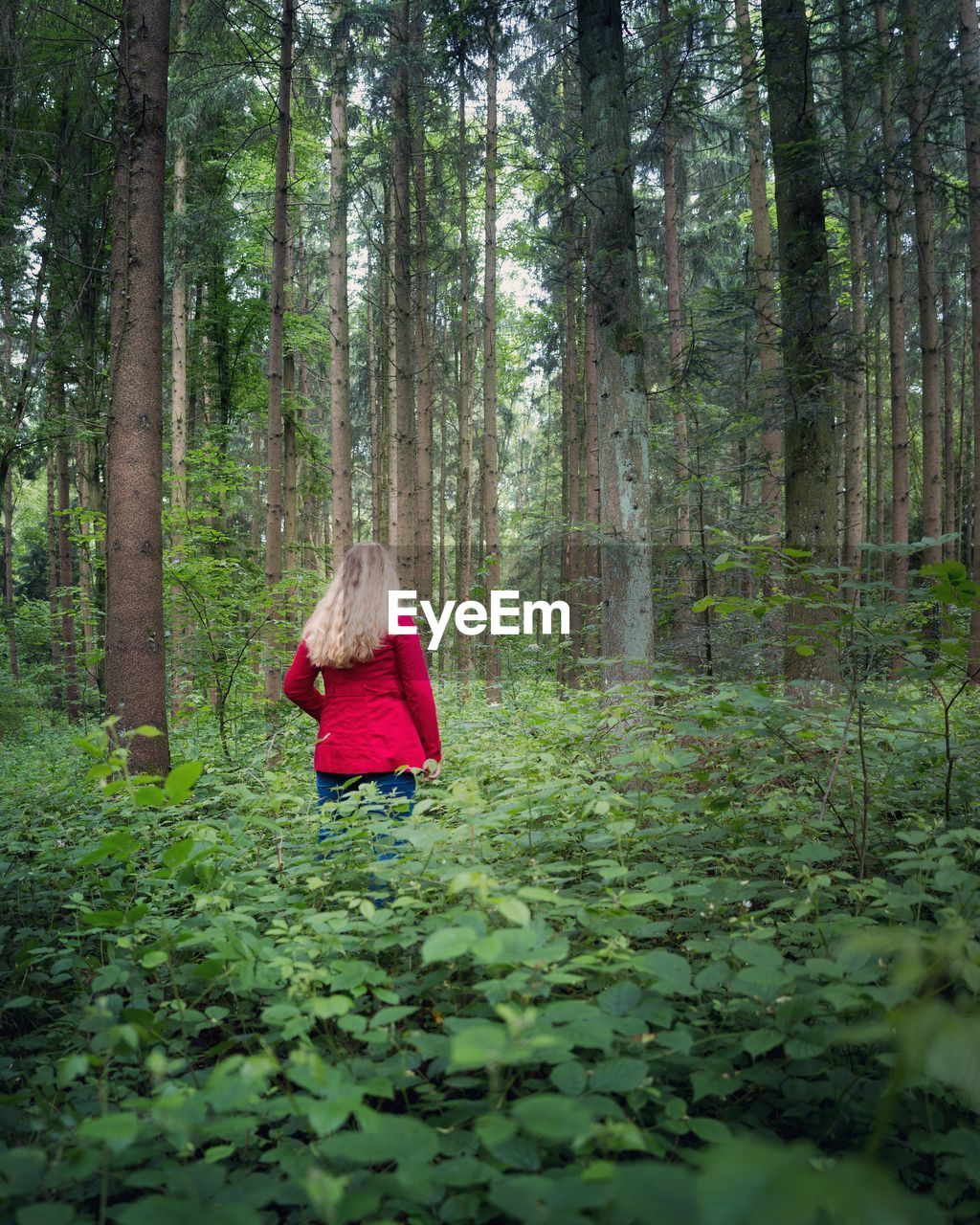 Rear view of woman standing in forest