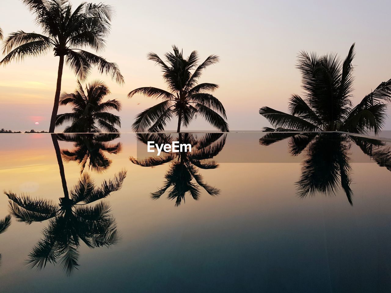 SILHOUETTE PALM TREE BY SWIMMING POOL AGAINST SKY