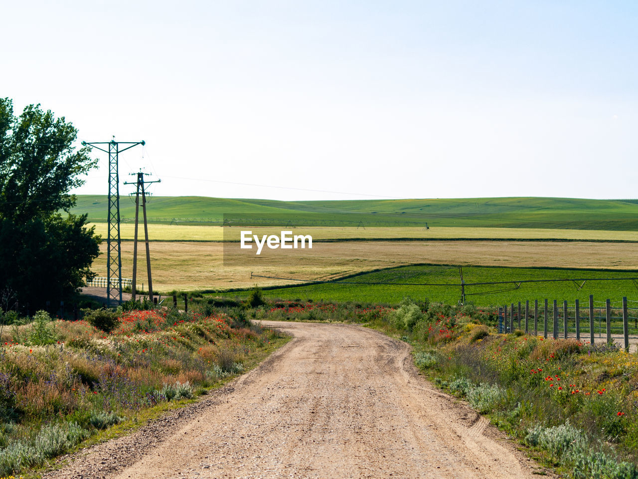 Dirt road amidst field against clear sky