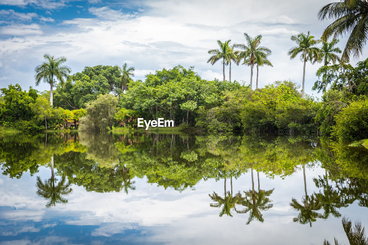 SCENIC VIEW OF LAKE BY TREES AGAINST SKY