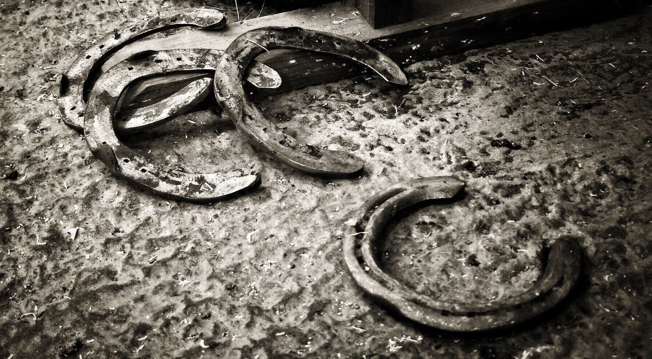 High angle view of rusty horseshoes on field